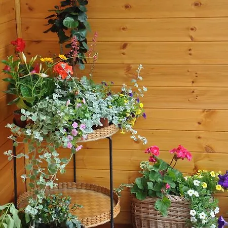 Bed & Breakfast Koliba Nad Bialka